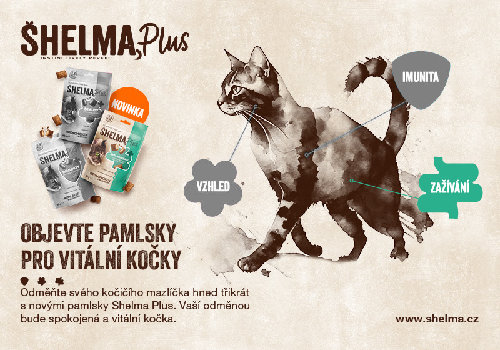 Otestovali jsme Shelma Plus ANTI-HAIRBALL. Jak dopadly recenze?