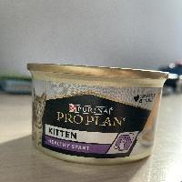 příloha