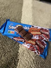 příloha