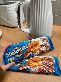 příloha
