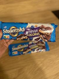 příloha