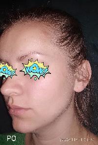příloha